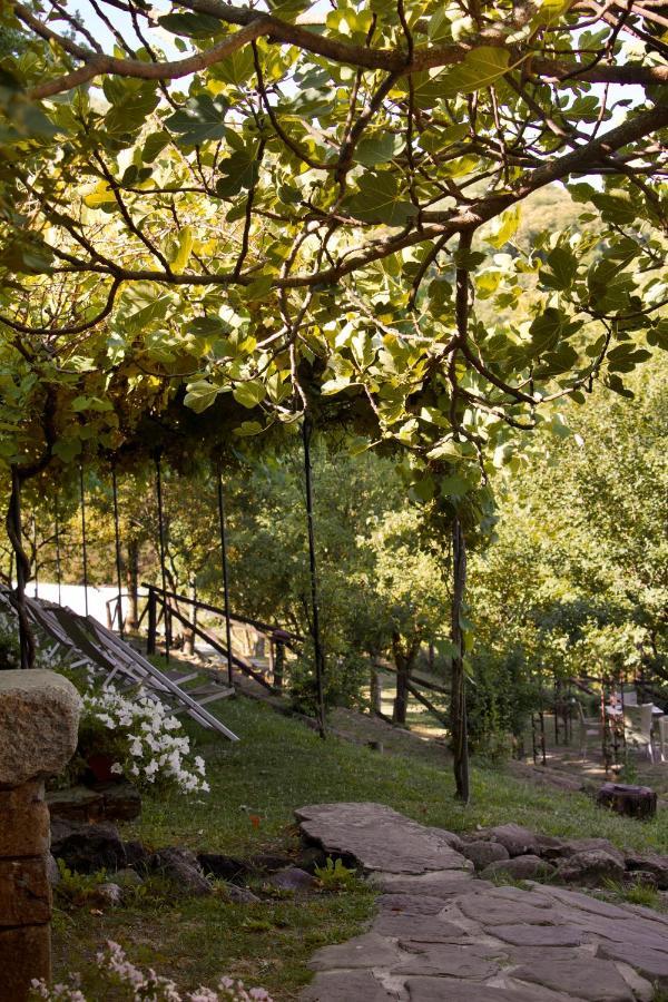 Borgo Casale Guest House Albareto  Bagian luar foto